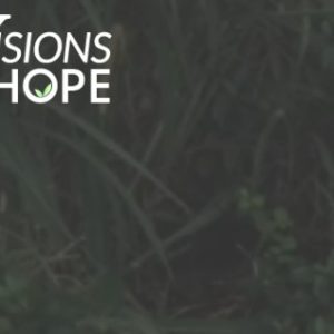 Visions of Hope Webmaster Services